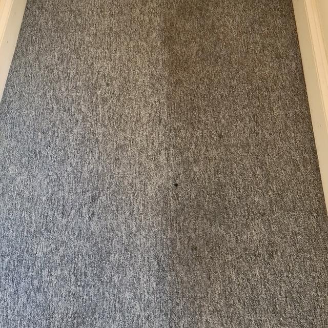 Carpet Clean 3.1